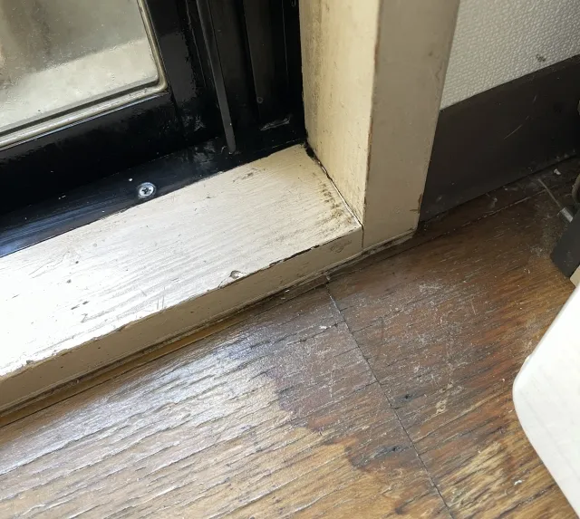 川越市で行われる屋根の雨漏り原因調査の様子